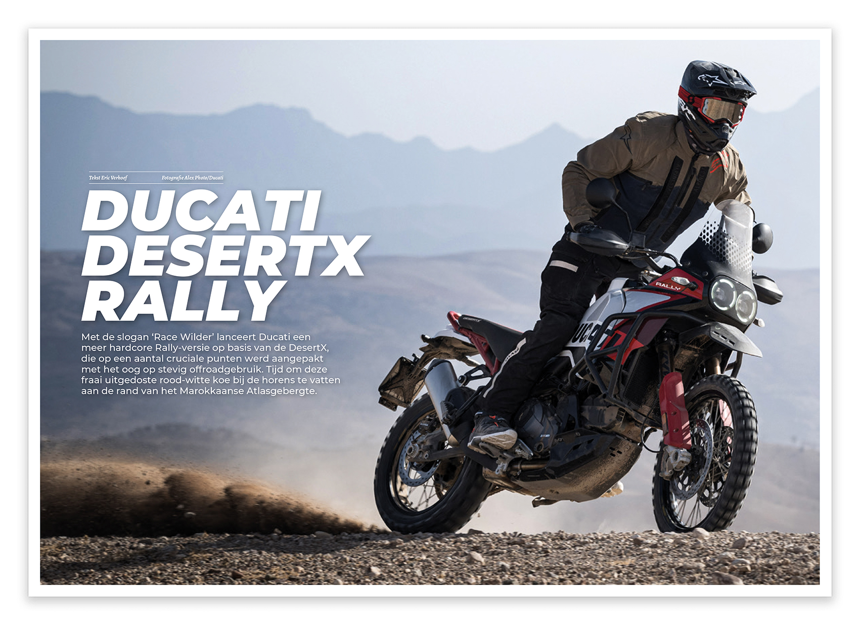 Koopgids Ducati DesertX Rally