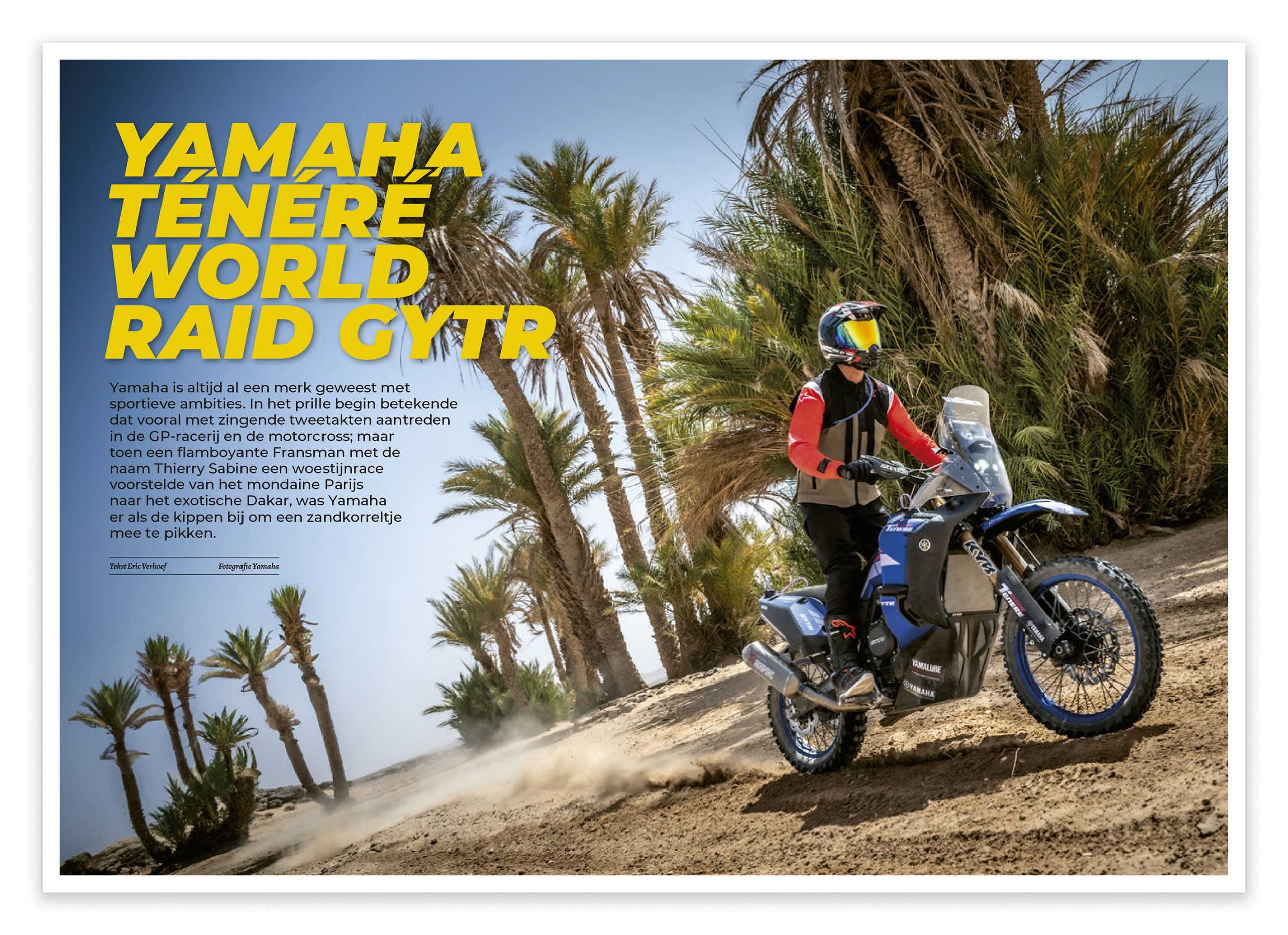 Yamaha Ténéré World Raid GYTR