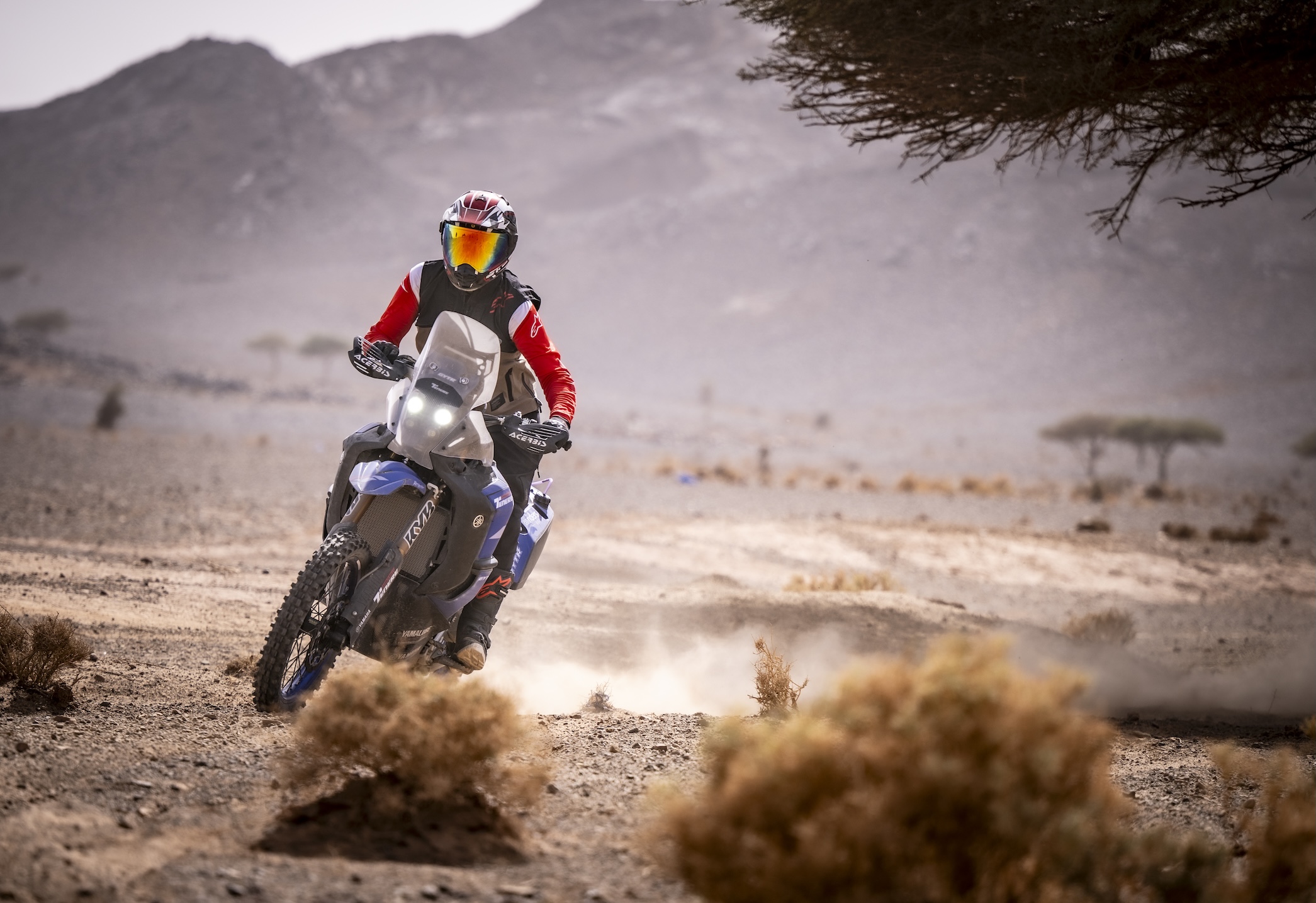 Yamaha Ténéré World Raid GYTR