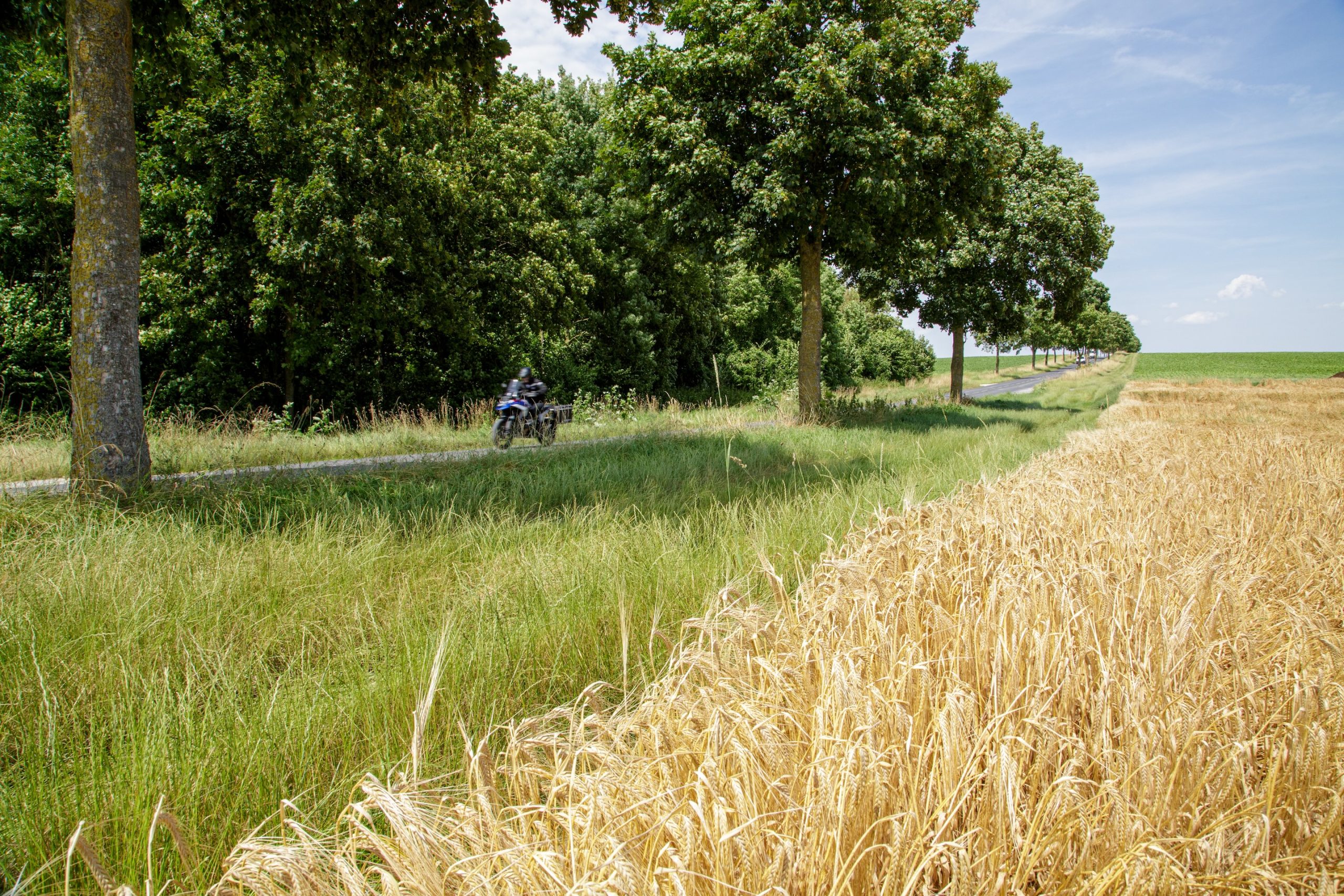 Toerroute Champagnestreek