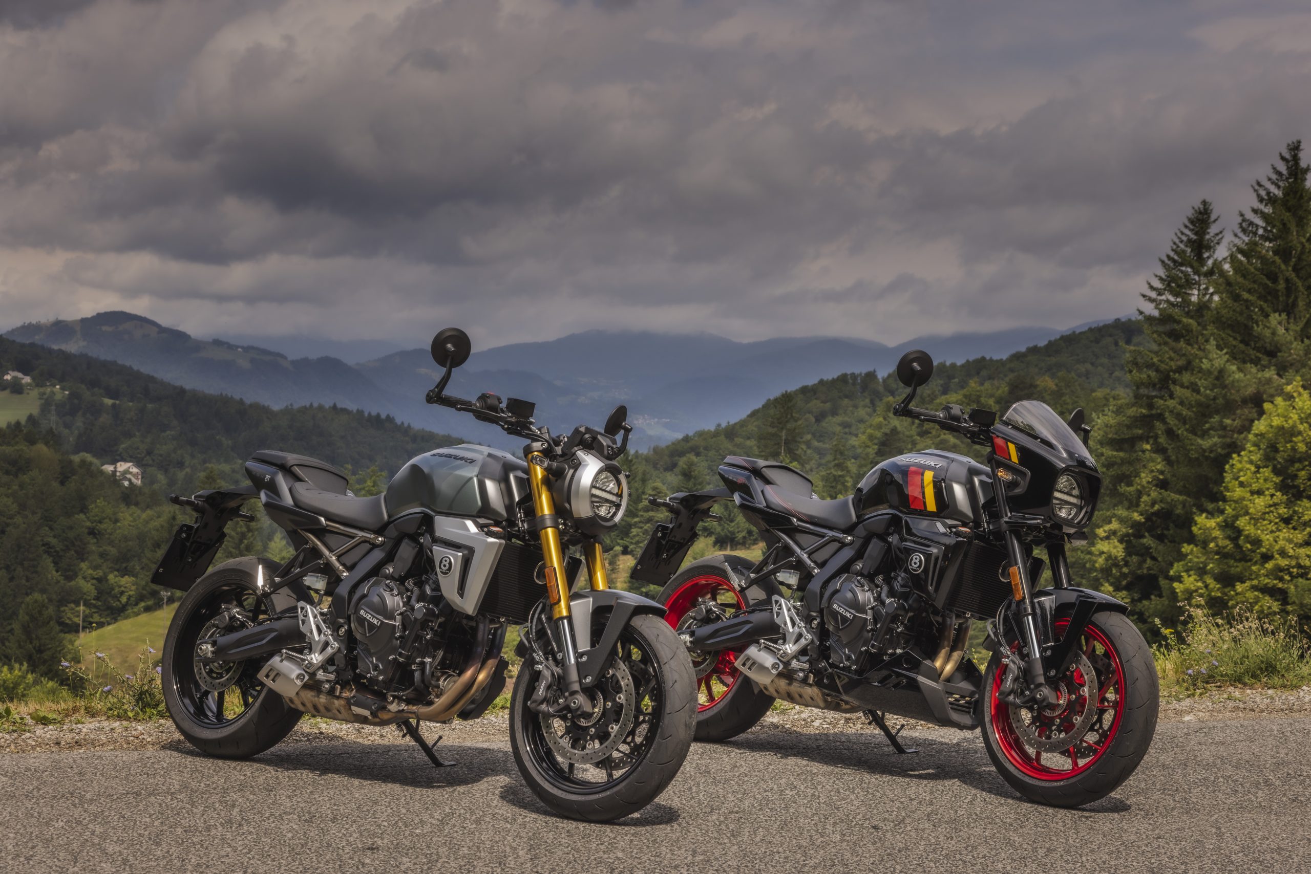 Suzuki GSX-8T GSX-8TT