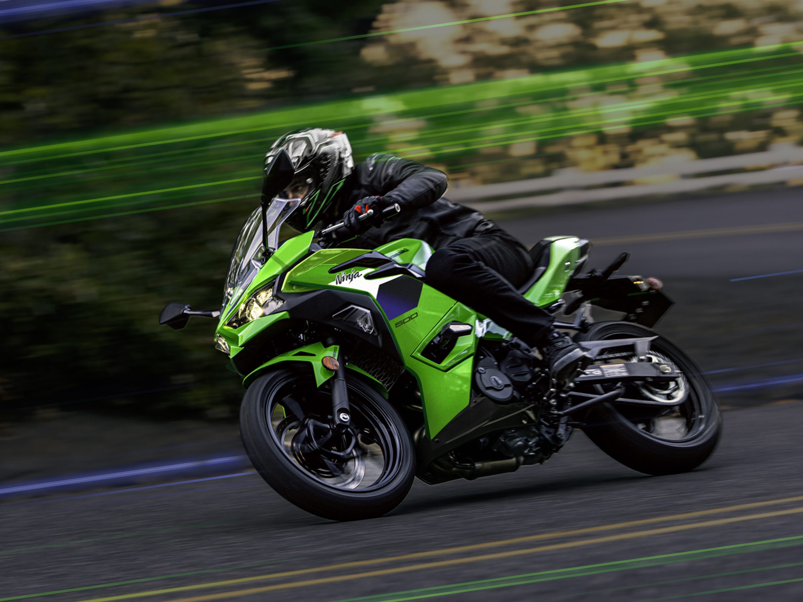 Kawasaki Ninja 500SE
