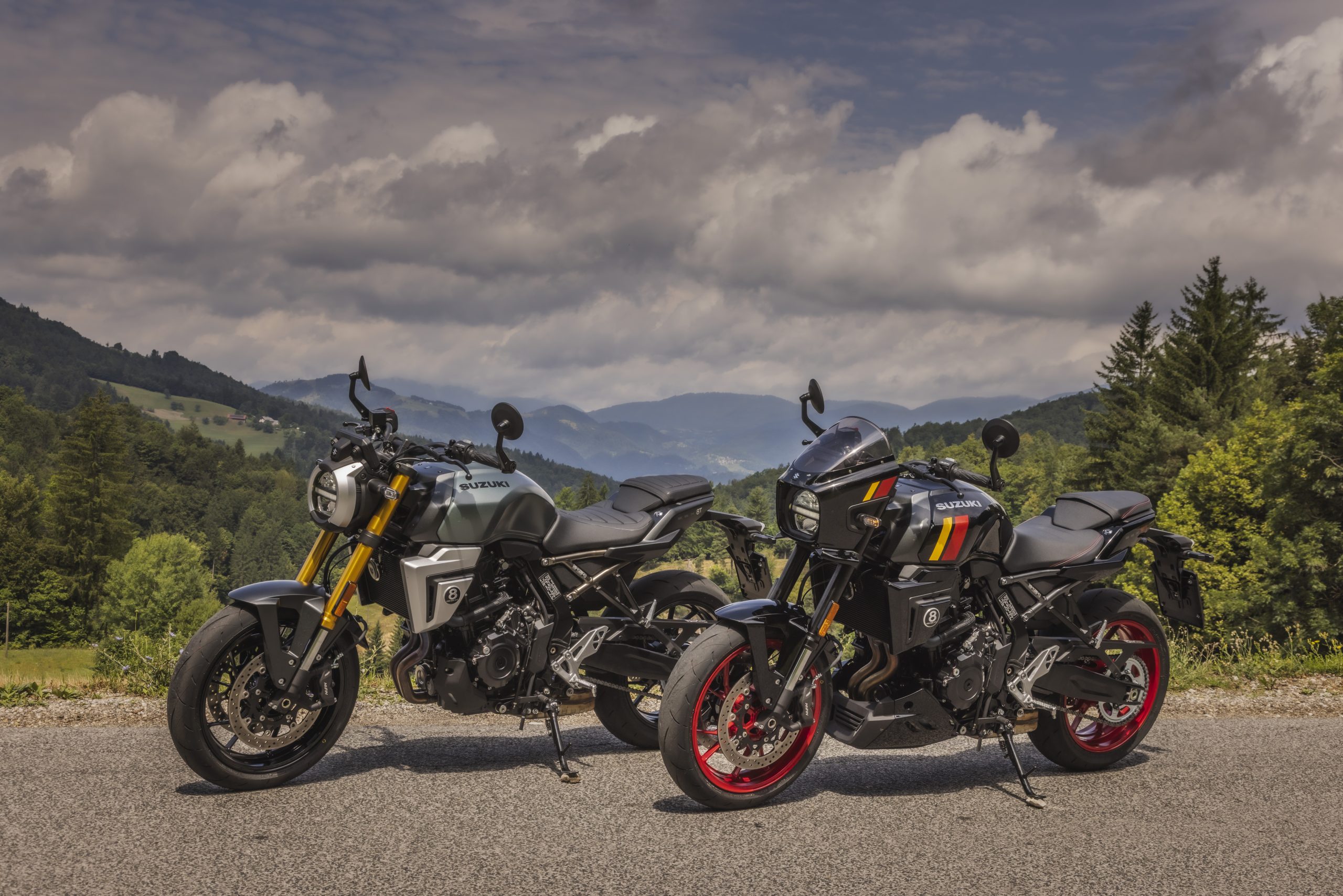 Suzuki GSX-8T GSX-8TT