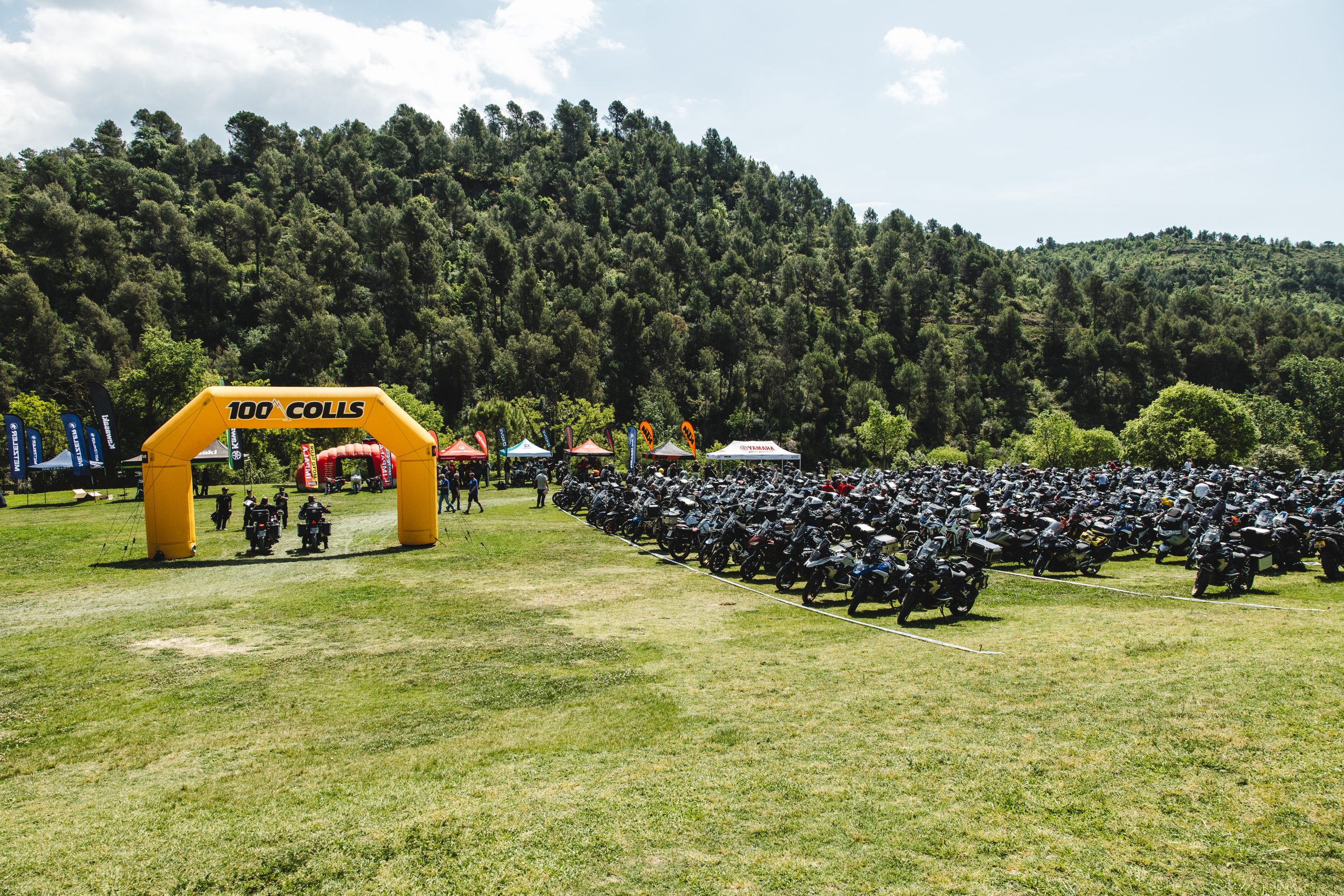 100 Colls