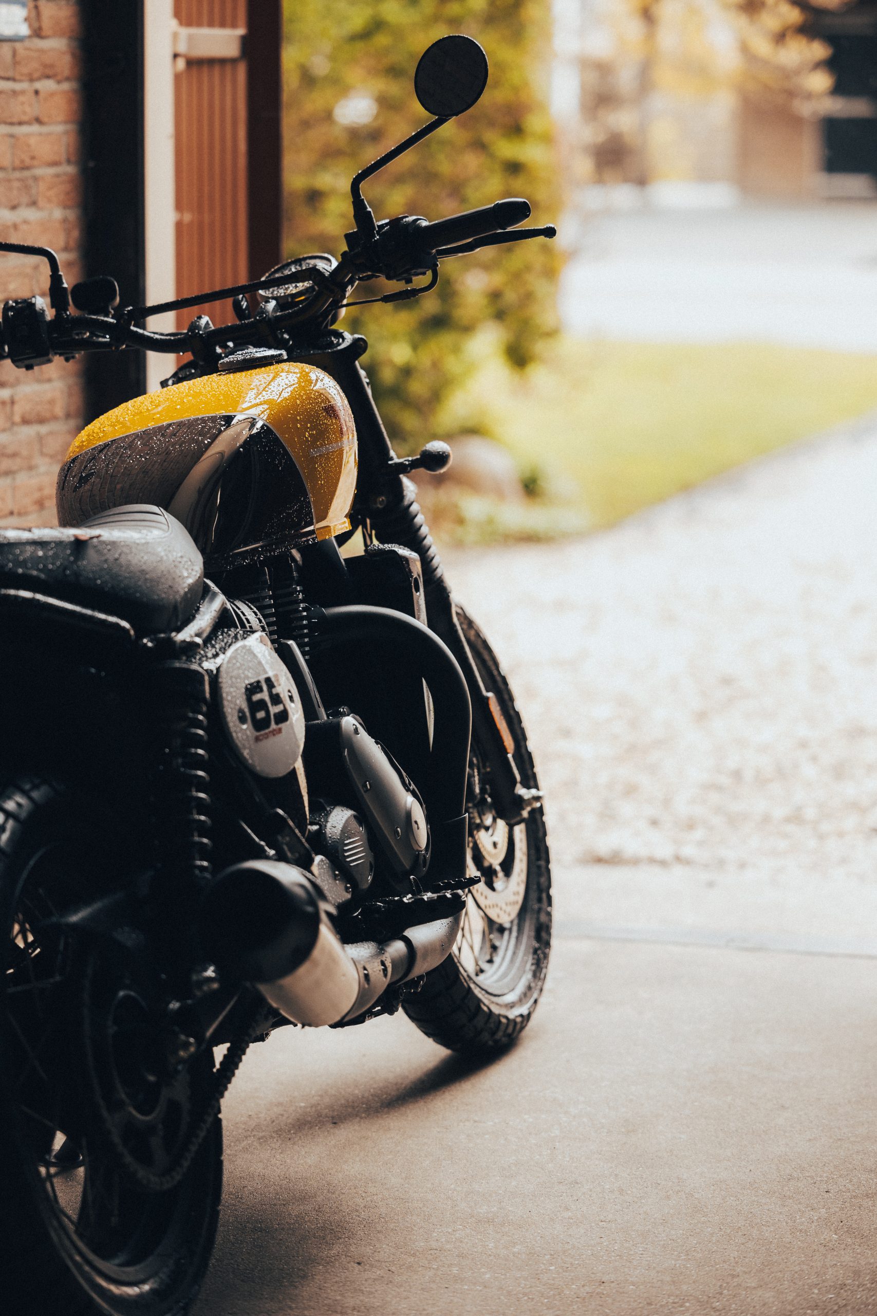 BSA Scrambler 650