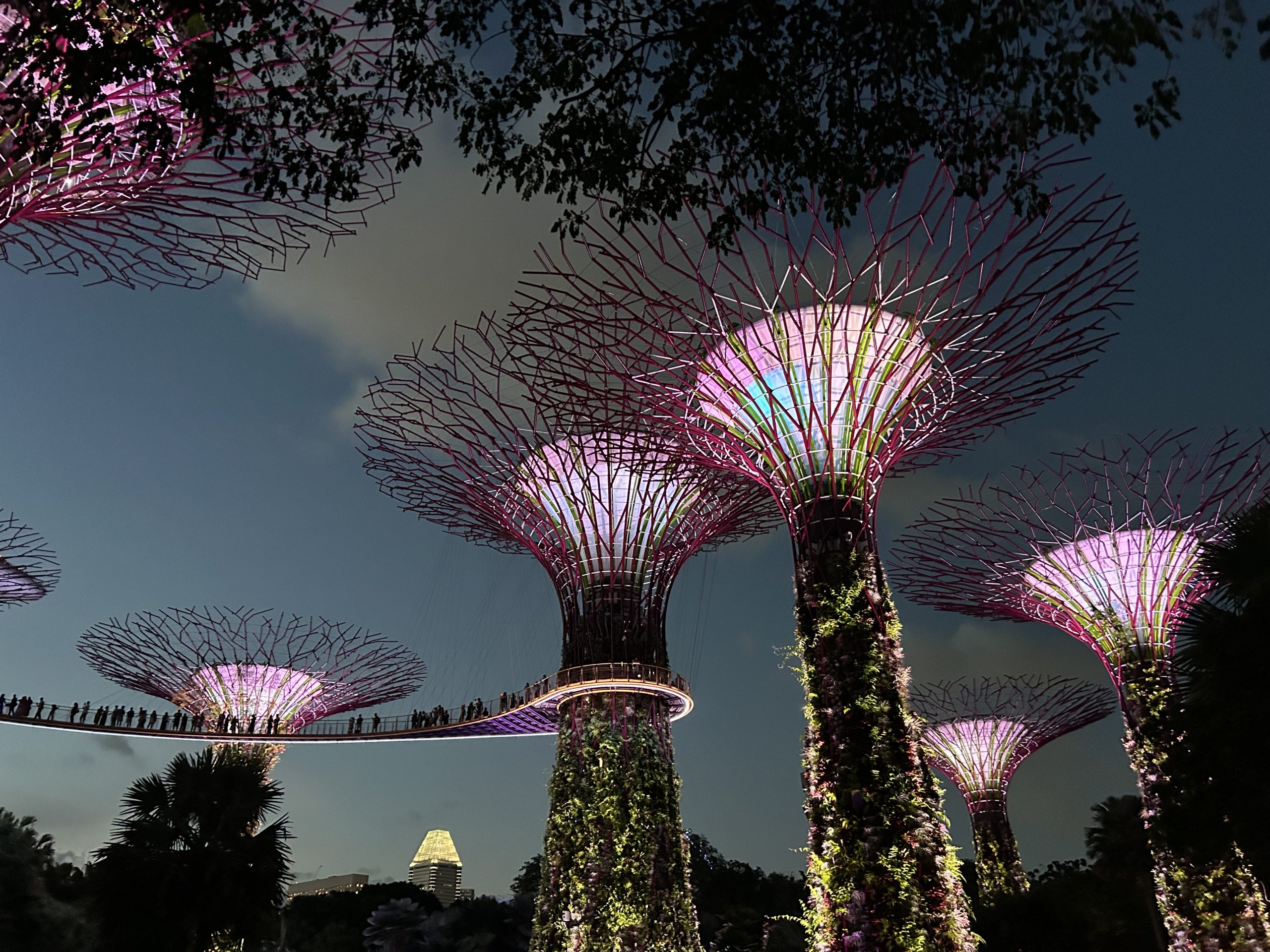 Singapore Cambodja
